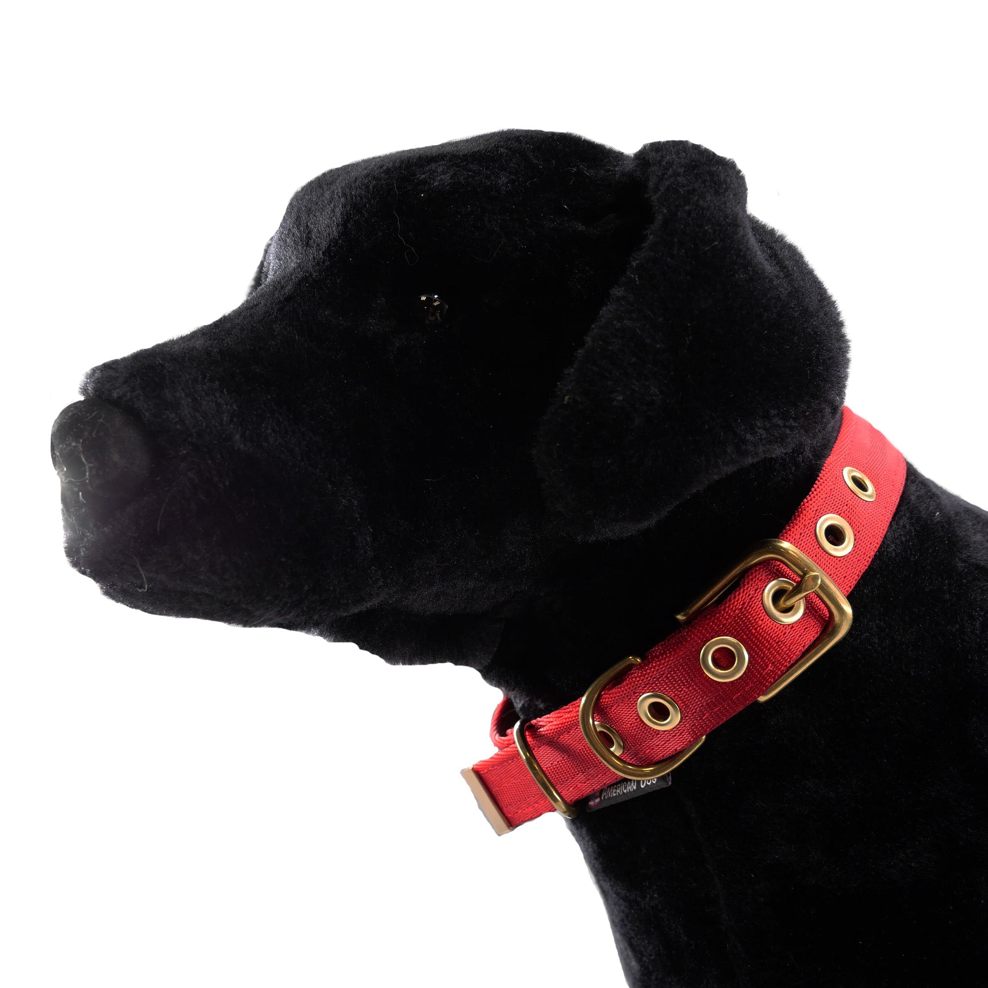 Heavy-Duty Seatbelt Dog Collar – USA Made with Brass Hardware