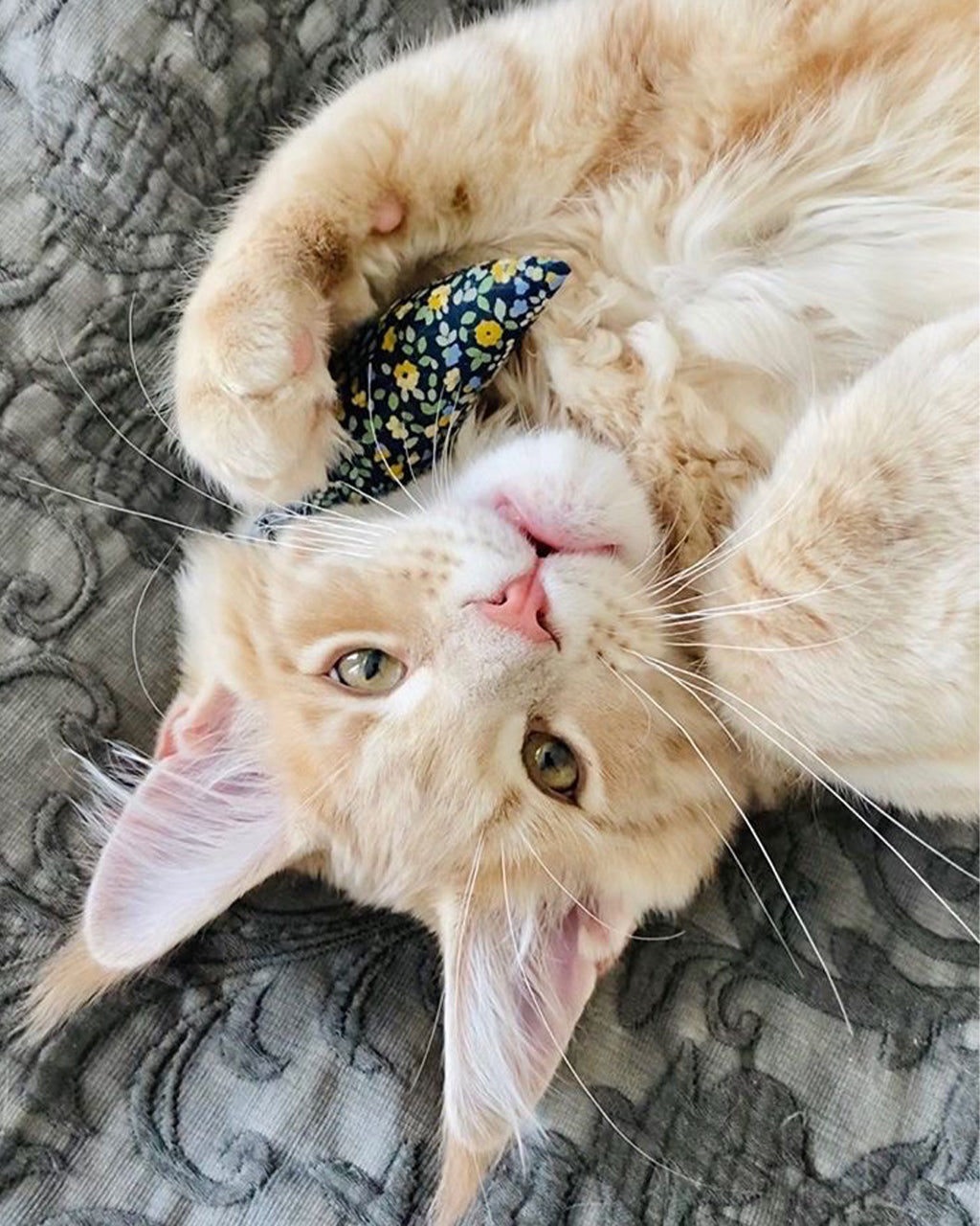 Modern Floral Mouse Cat Toy – Organic Catnip Plush Mouse Toy for Indoor Cats & Kittens