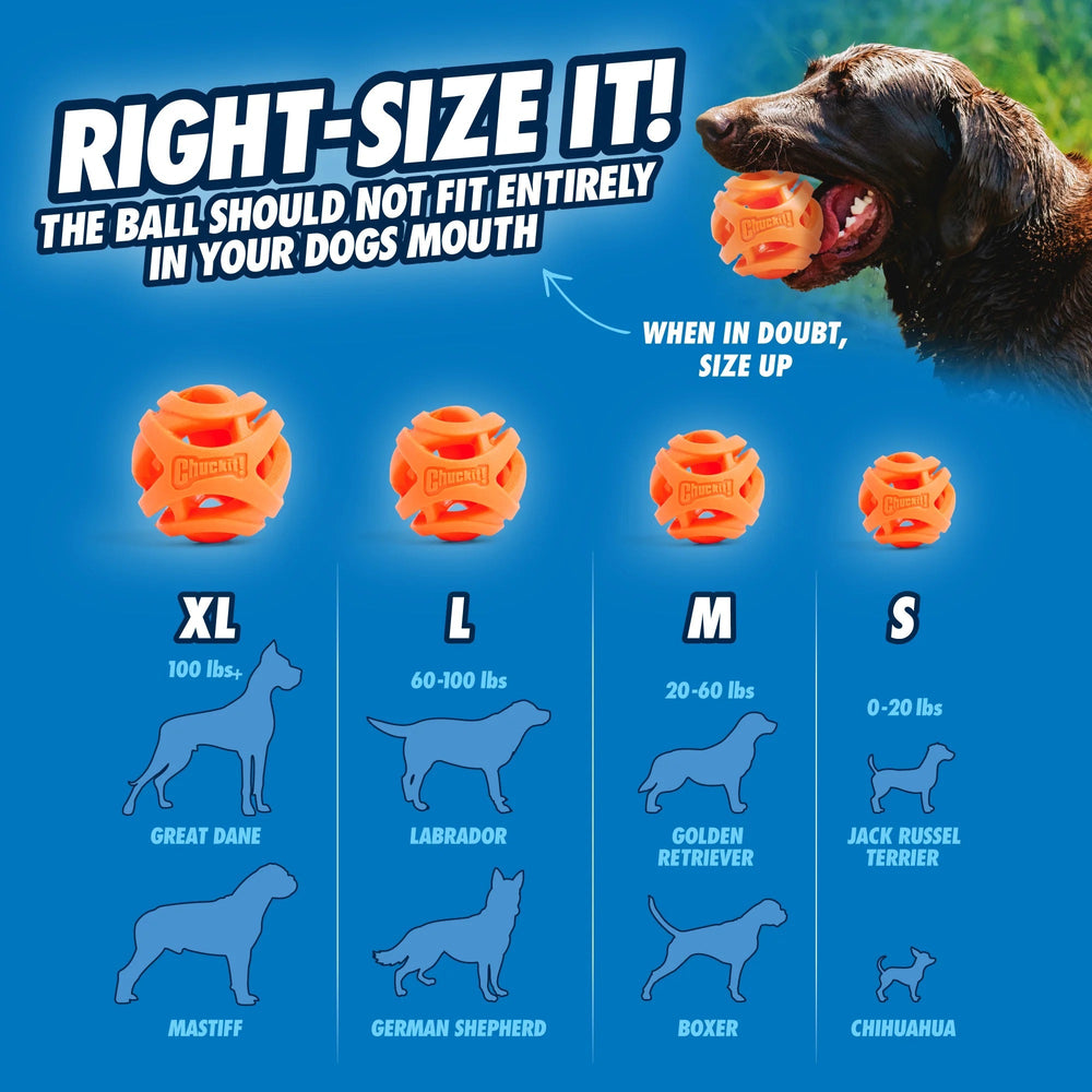 Chuckit!® Air™ Fetch Ball – Breathable, Durable & Floatable Dog Toy (Medium)