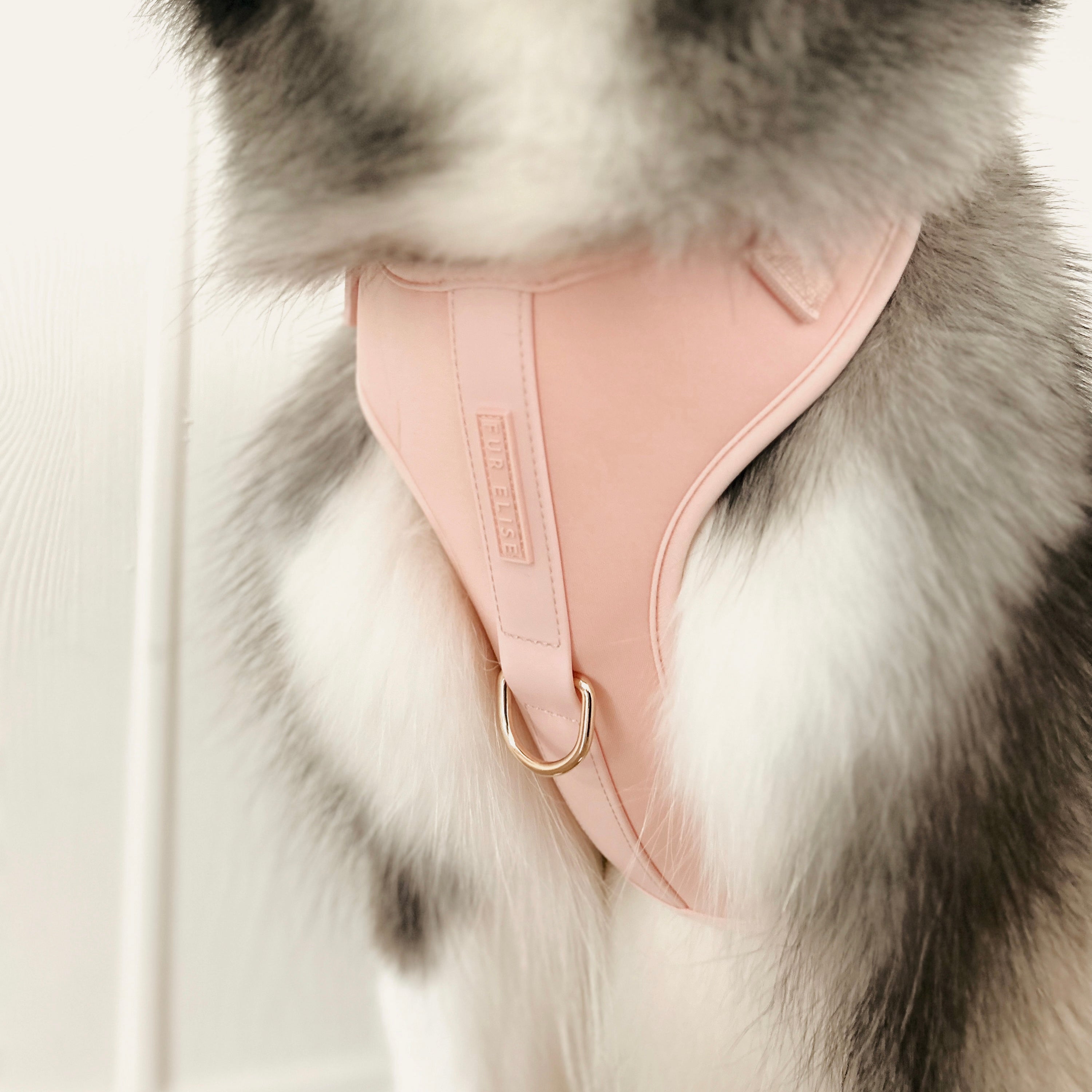 Elise Dog Harness – Adjustable, No-Pull, Comfortable & Durable for Small, Medium, and Large Dogs - Pink
