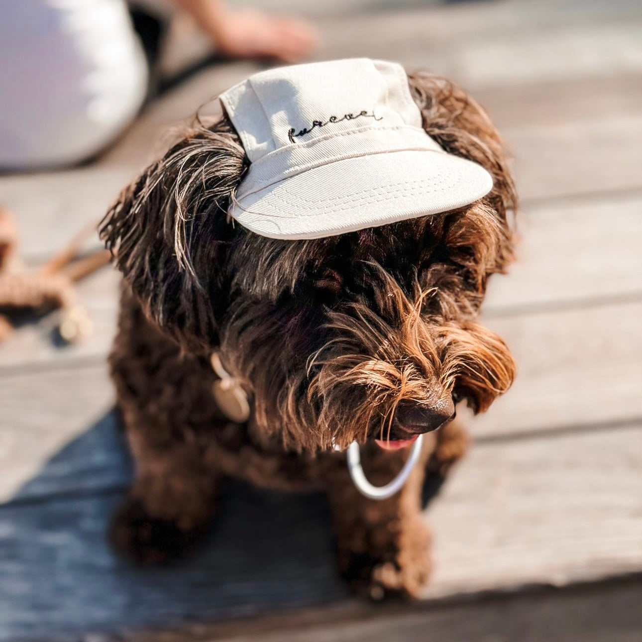 Furever Embroidered Pet Hat – Cotton Baseball Cap
