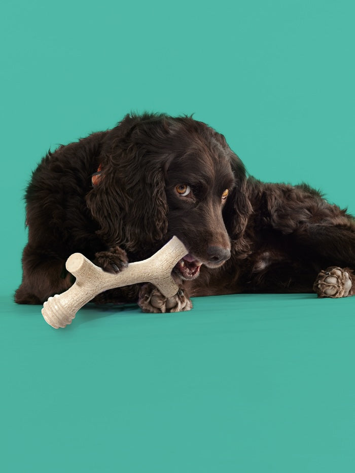 Yomp Barkin' Bone