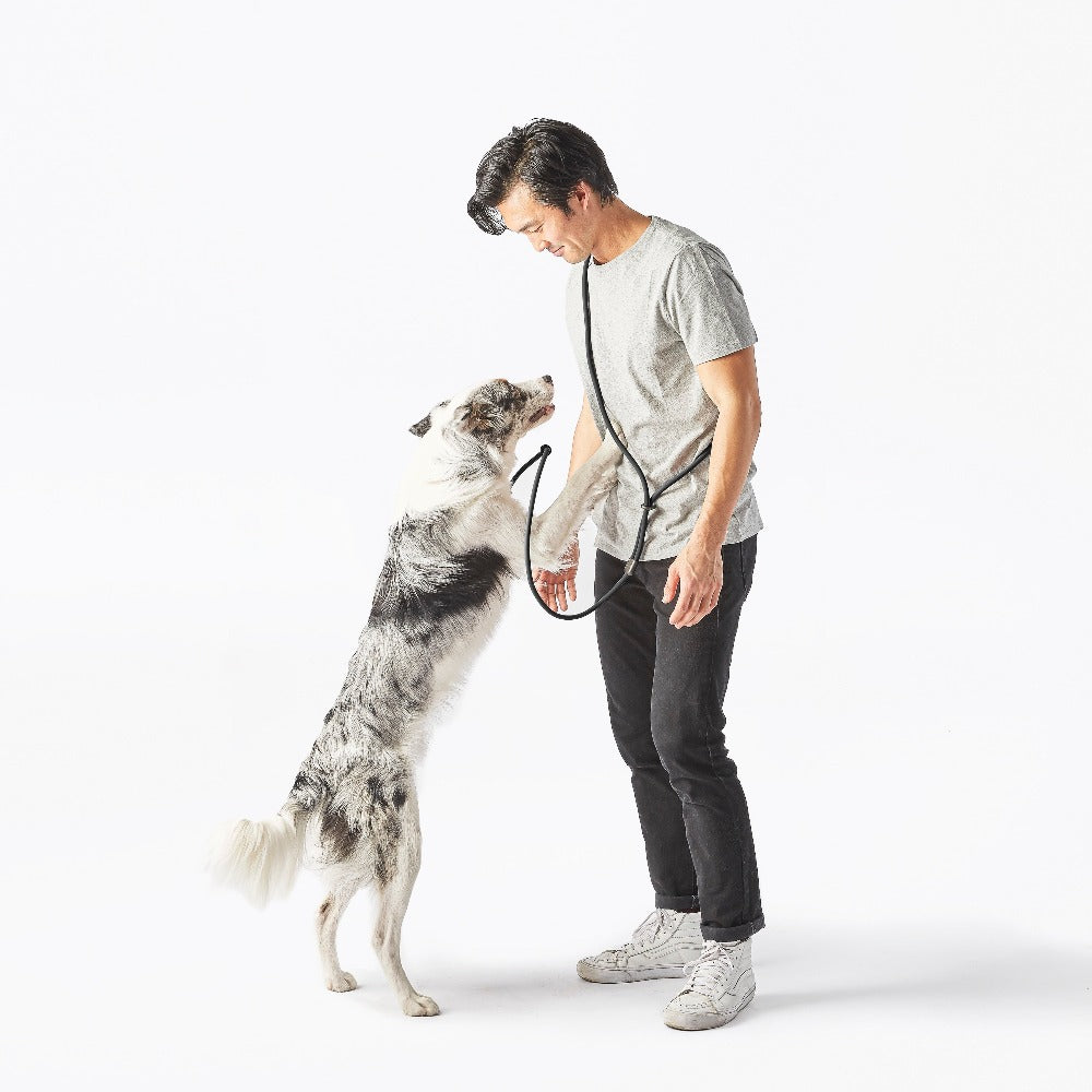 Magic Link® Hands-Free Dog Leash – Wear as Belt, Bandolier, or Wrist Strap