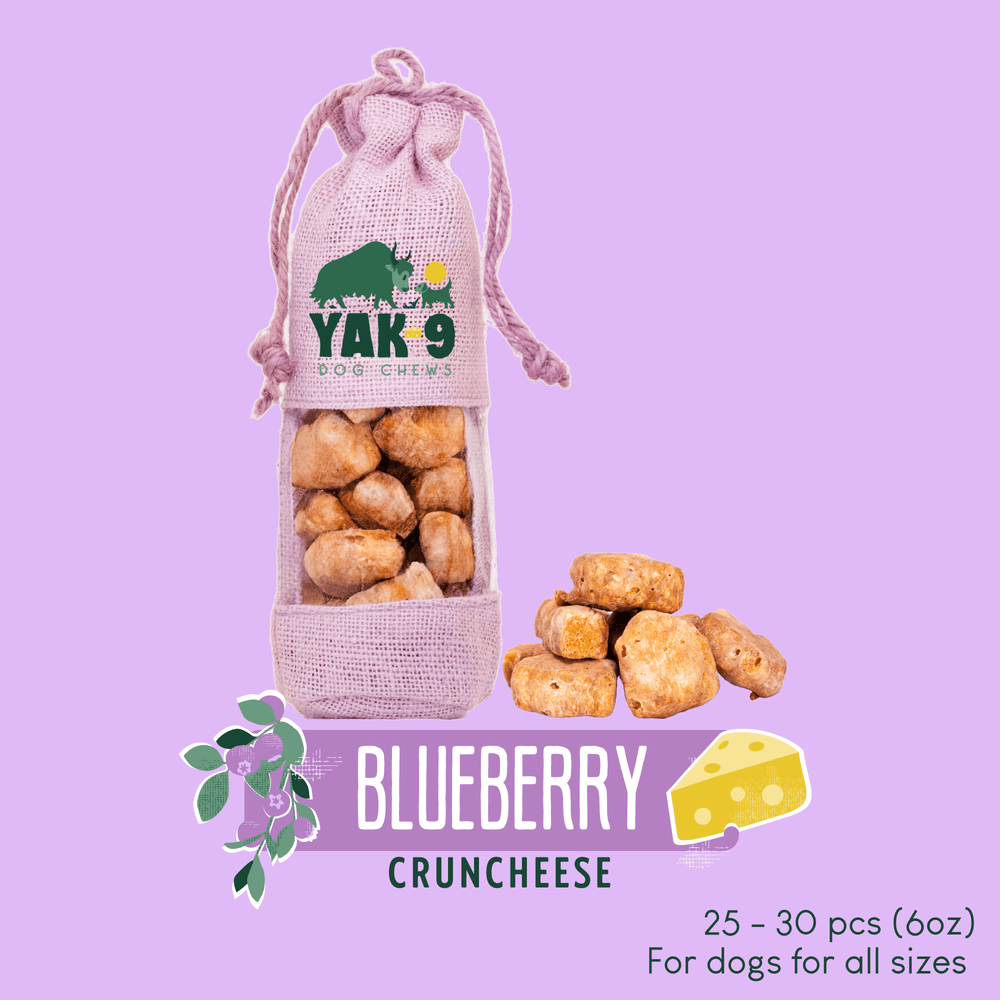 Yak9 CrunCheese Yak Cheese Dog Treats – Crunchy High-Protein Himalayan Training Treats