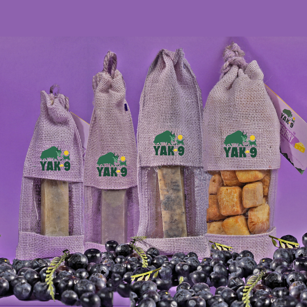 Yak9 Blueberry Yak Cheese Chews for Dogs – Long-Lasting Natural Dental Dog Chew