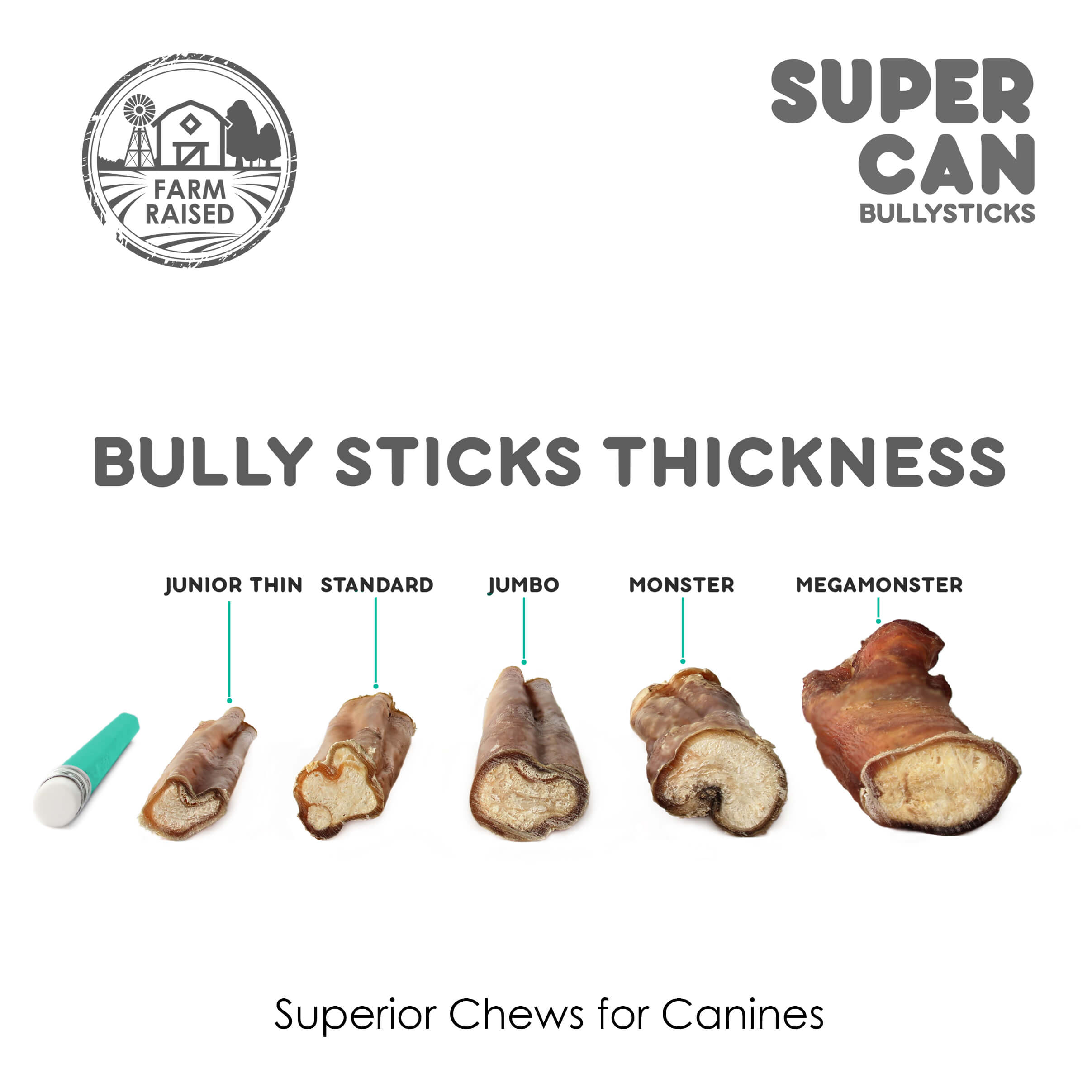 SuperCan 6" Jumbo Bully Sticks (10-Pack) – All-Natural, Long-Lasting Beef Chews for Dogs
