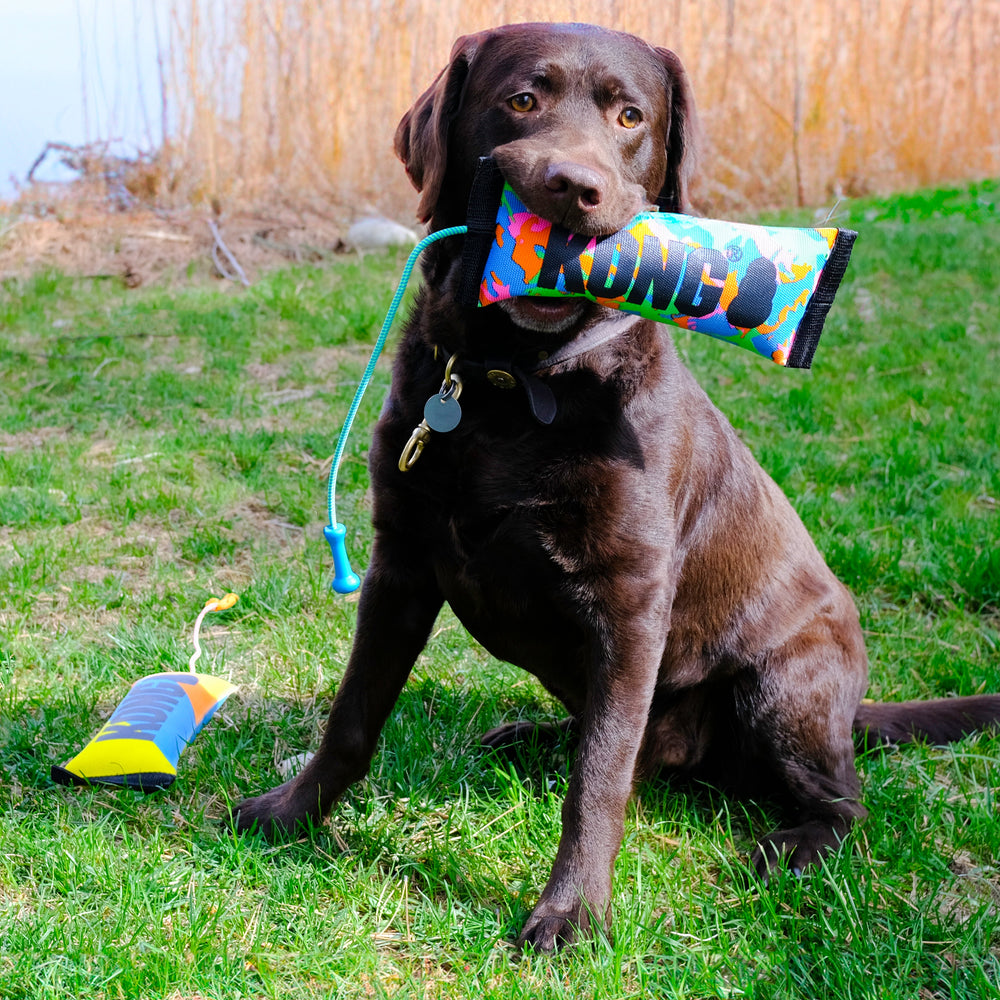 KONG Bunji High-Viz Bumper Dog Toy (Medium) – Stretchable Toss & Tug Toy with Rope Handle