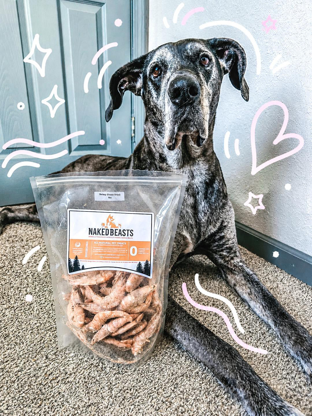 Shell-On Shrimp Dog & Cat Treats – Single-Ingredient Dehydrated Shrimp