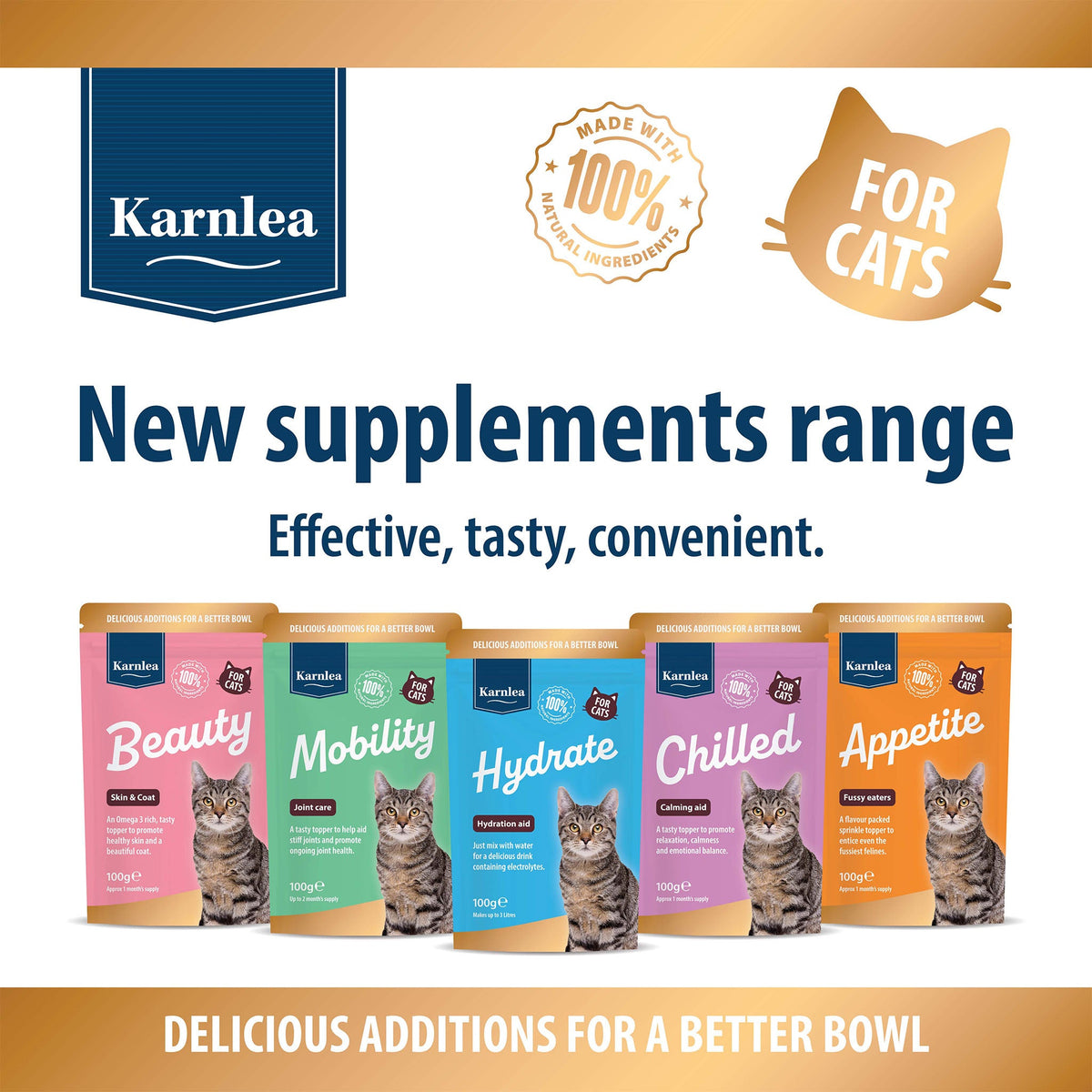 Beauty Omega-3 Skin & Coat Supplement & Food Topper for Cats