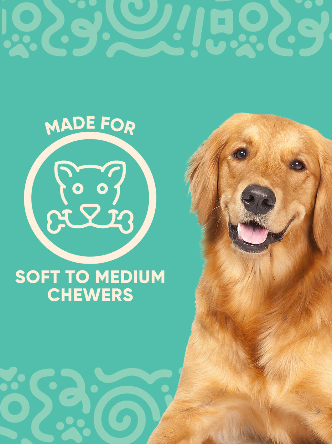 Yomp ToothBuddy Silicone Dental Chew Toy for Dogs