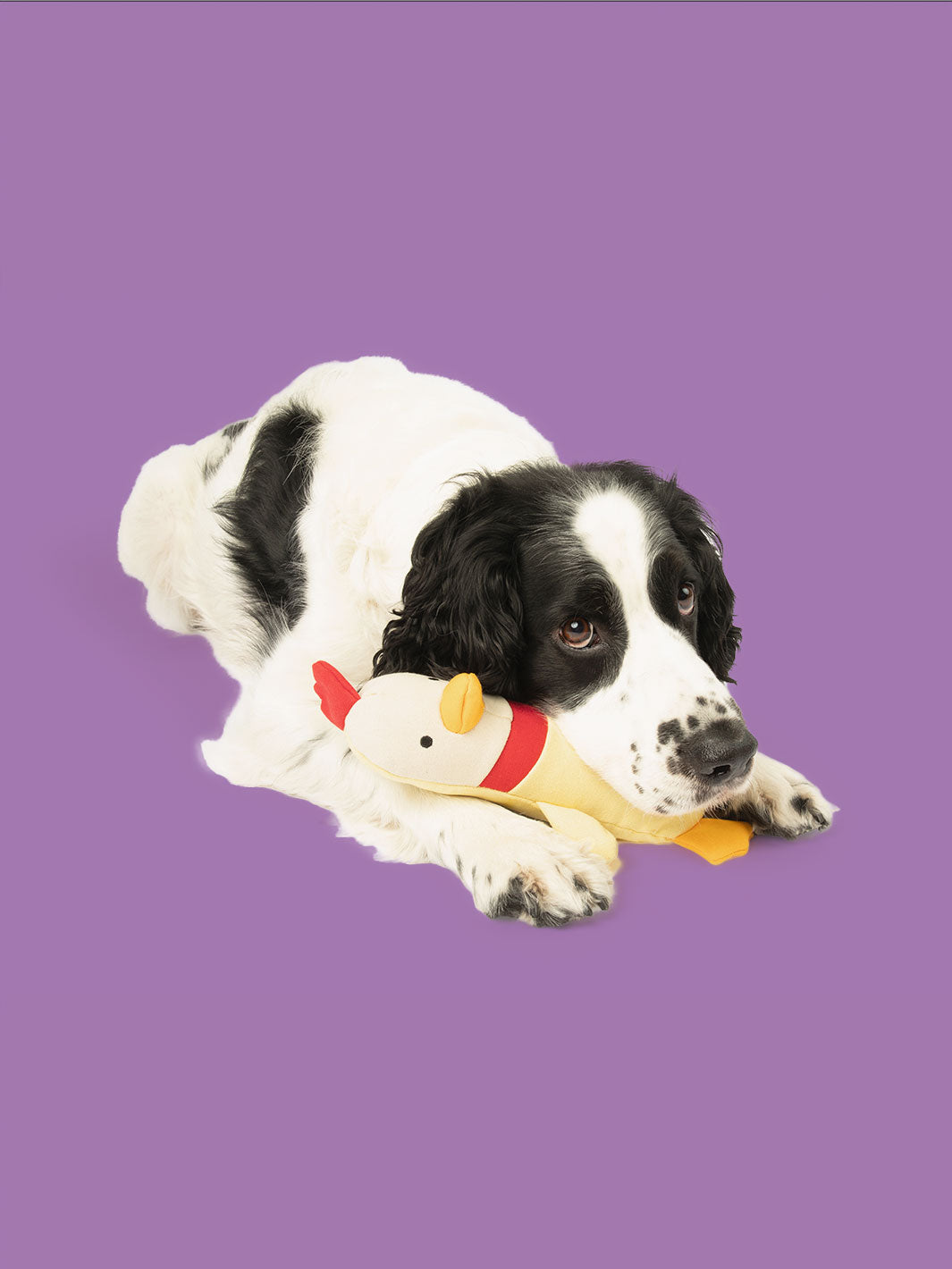 Clucky Plush Chicken Dog Toy – Durable Canvas Crinkle Toy