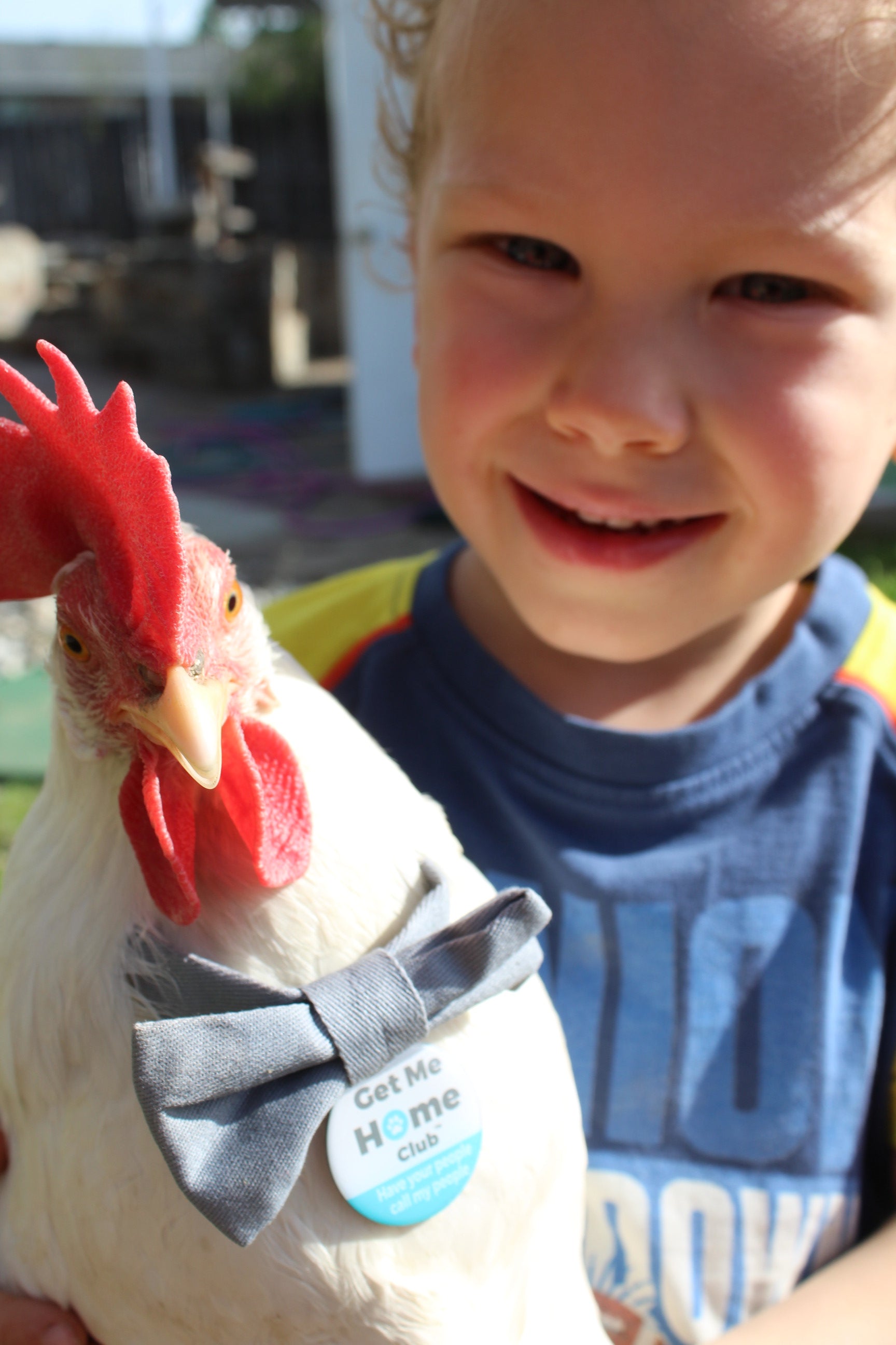 PetHub QR Pet ID Tag – Original Get Me Home Club