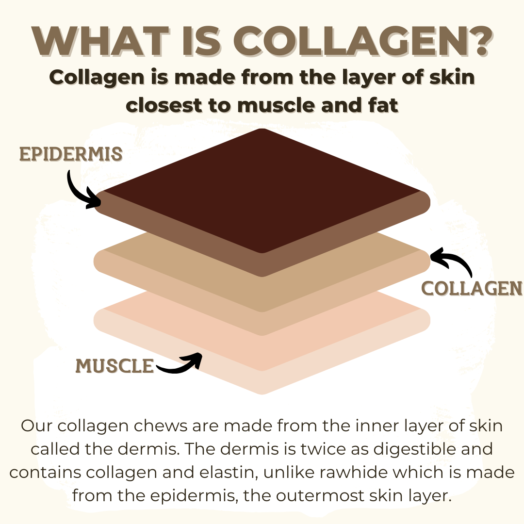 5–6 Inch Collagen Stick for Dogs – Long-Lasting, All-Natural Chew