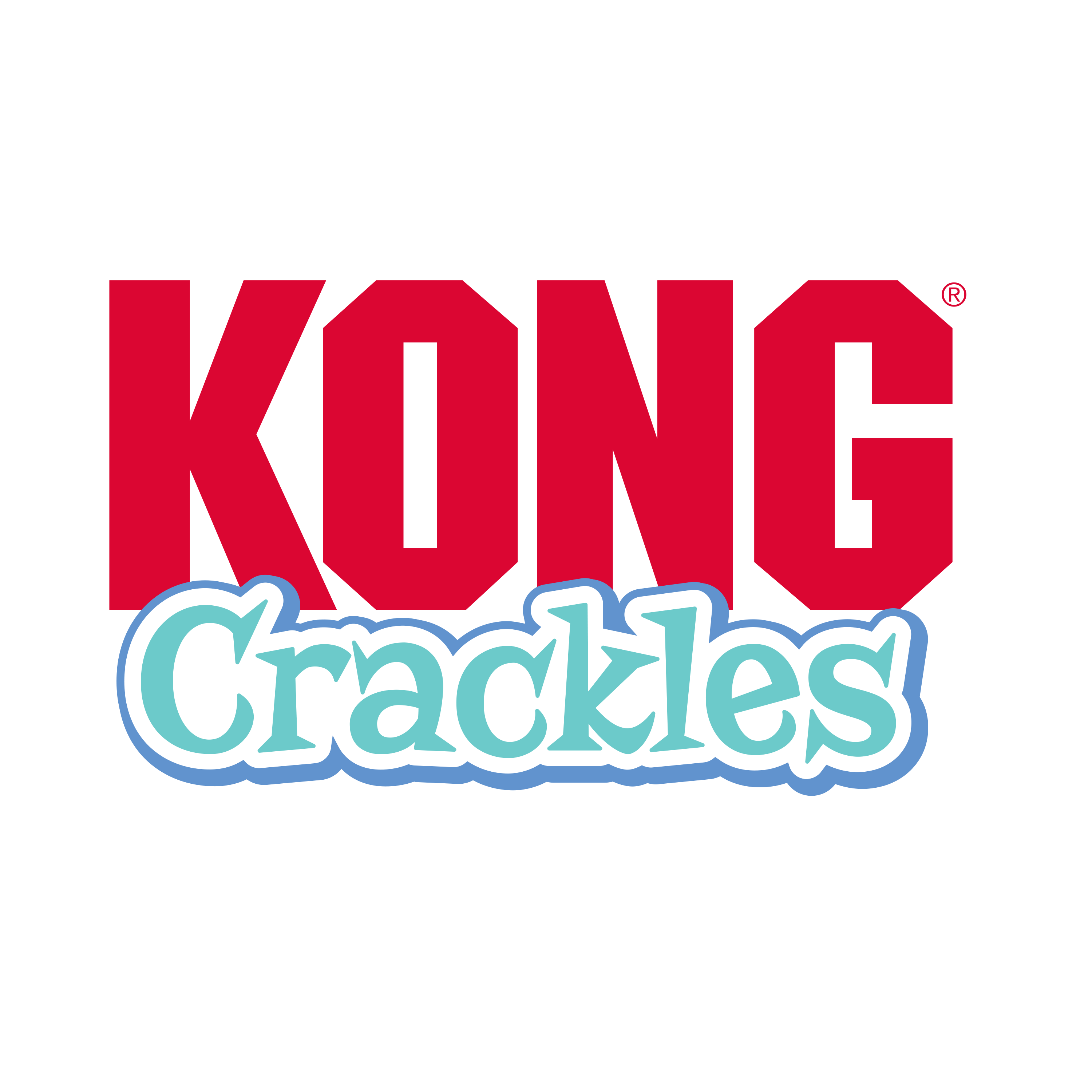 KONG Crackles Gulpz Cat Toy – Crackly Fish with Catnip & Rattle Fly