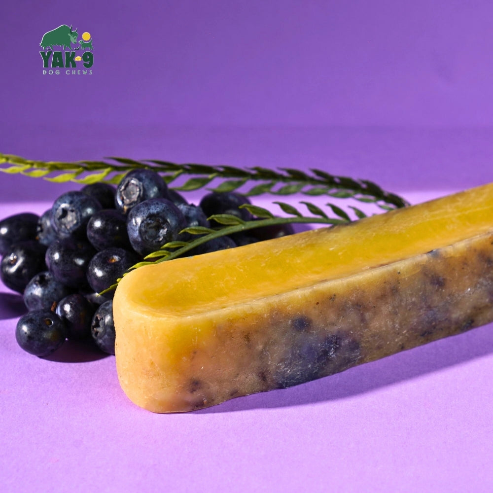 Yak9 Blueberry Yak Cheese Chews for Dogs – Long-Lasting Natural Dental Dog Chew