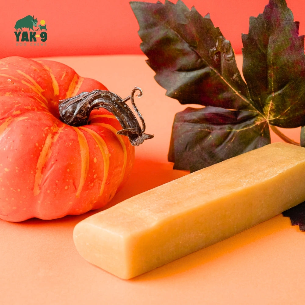 Yak9 Pumpkin Yay Yak Cheese Dog Chew – Long-Lasting Himalayan Yak Milk Chew with Organic Pumpkin