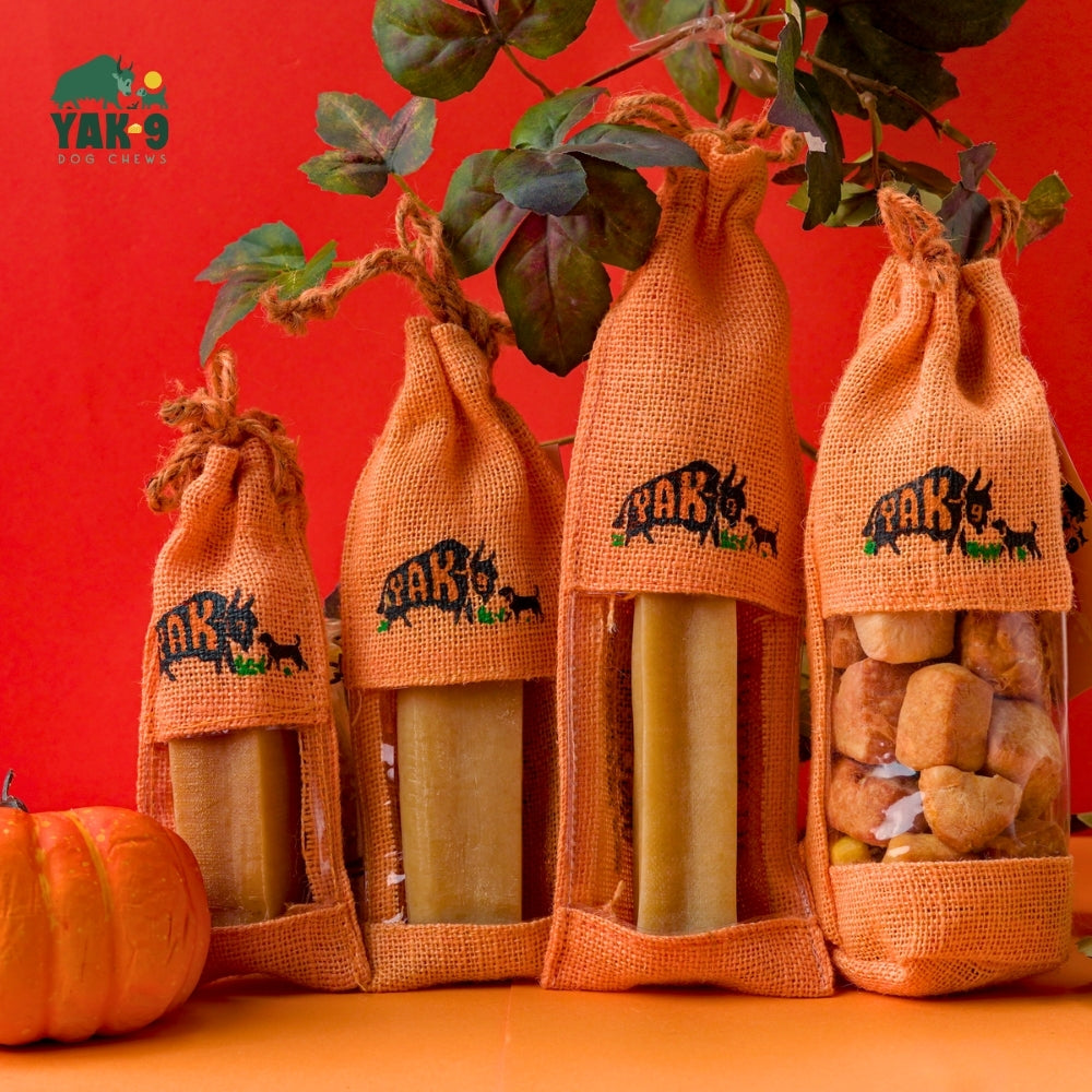 Yak9 Pumpkin Yay Yak Cheese Dog Chew – Long-Lasting Himalayan Yak Milk Chew with Organic Pumpkin