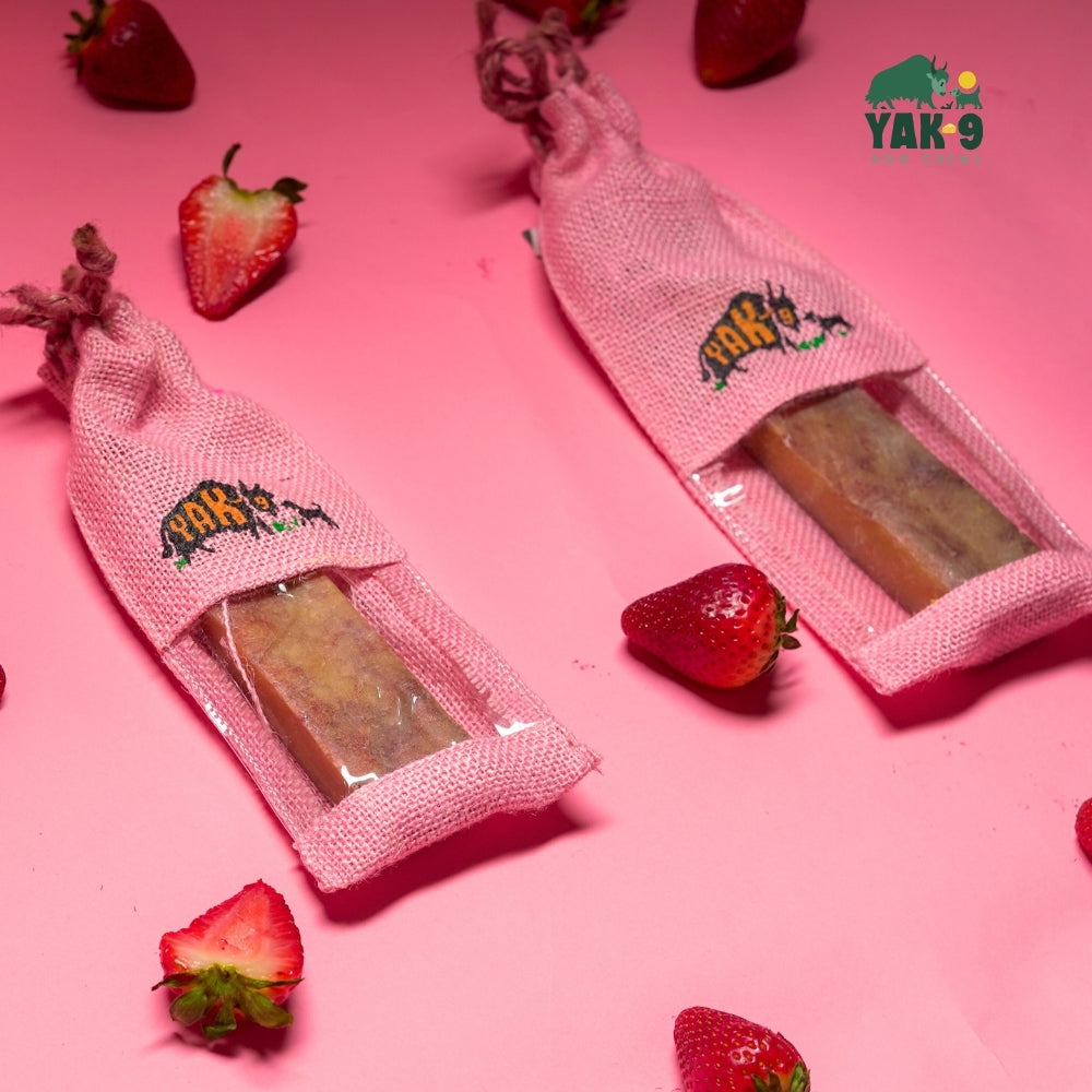 Yak9 Strawberry Yak Cheese Dog Chews – Long-Lasting Natural Chews for Immune & Skin Health
