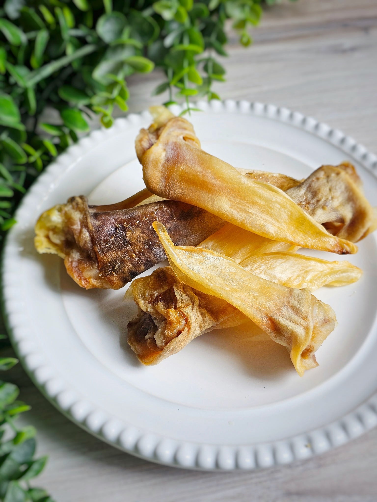 Lamb Ears for Dogs & Cats – Furry or Non-Furry Natural Chews