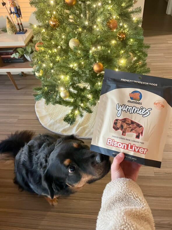 Mumbies Yummies Freeze-Dried Bison Liver Dog Treats – High-Protein Single-Ingredient Raw Organ Meat Made in the USA