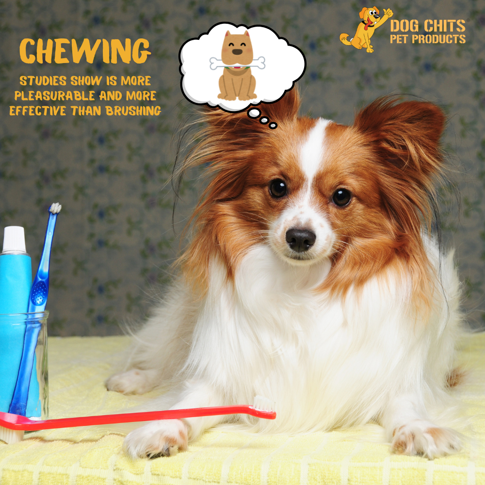 Beef Esophagus Jerky for Dogs – 6” Chews, 10 oz Bag (~28 Pieces)