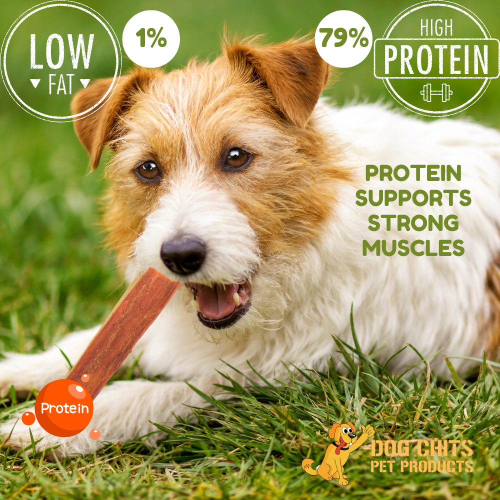 Beef Esophagus Jerky for Dogs – 6” Chews, 10 oz Bag (~28 Pieces)