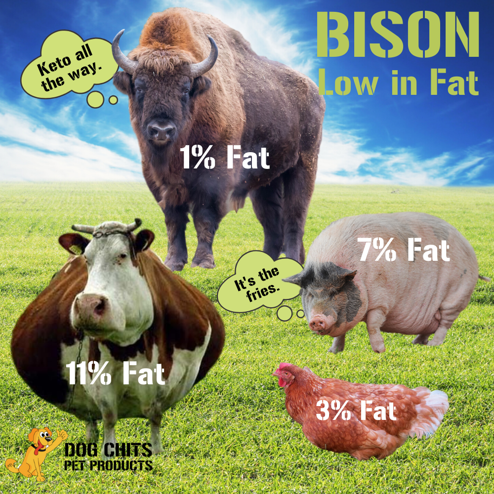 Bison Lung Fillet Dog Treats – 100% USA-Sourced, High-Protein, Low-Fat Training Rewards
