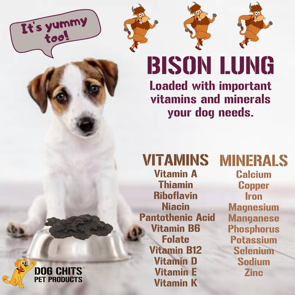 Bison Lung Fillet Dog Treats – 100% USA-Sourced, High-Protein, Low-Fat Training Rewards