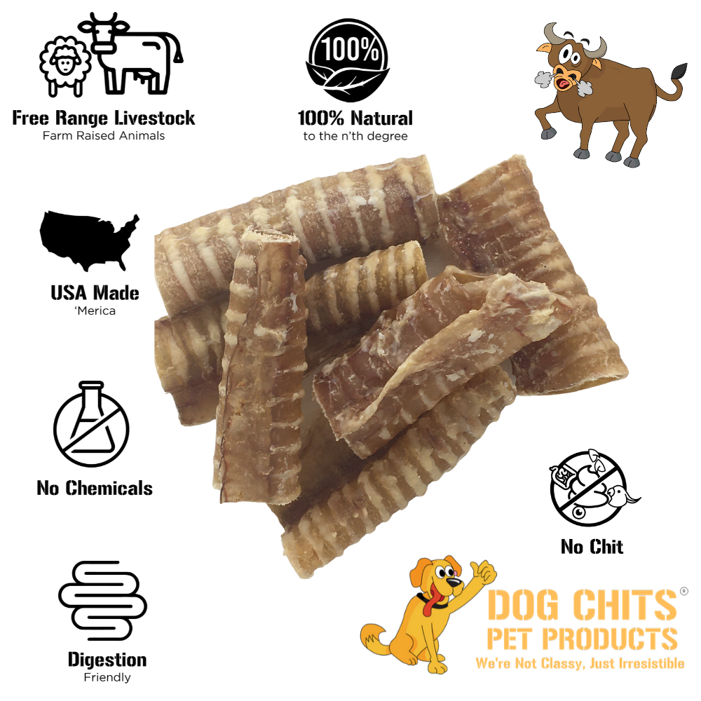 All-Natural Beef Trachea Dog Treats – 1 lb Bag (3"-4" Crunchy Chews)
