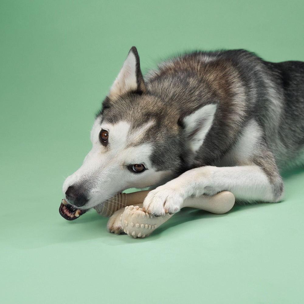 BetterBone MEDIUM Durable Dog Chew Toy Made from Natural, Non-Toxic Ingredients