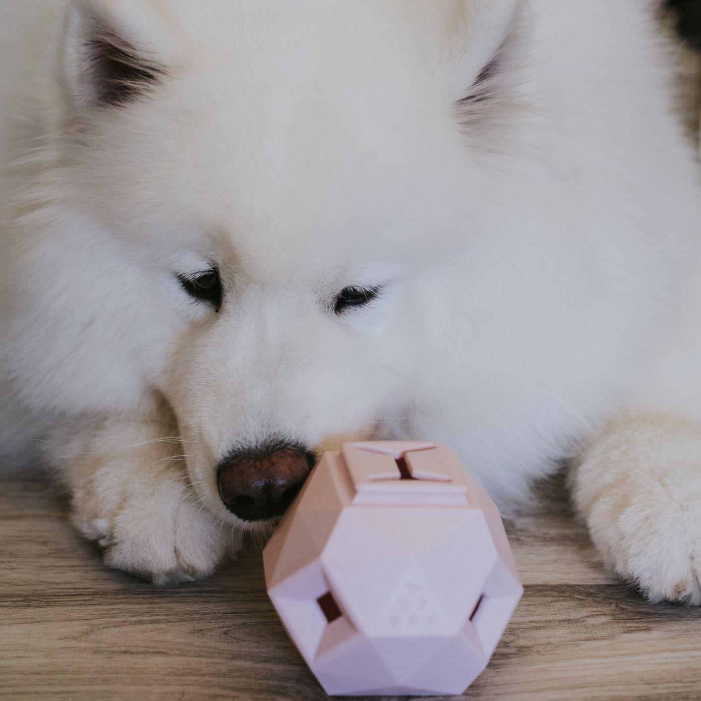 The Odin Treat Dispensing Dog Toy – Interactive Puzzle & Slow Feeder for Mental Stimulation