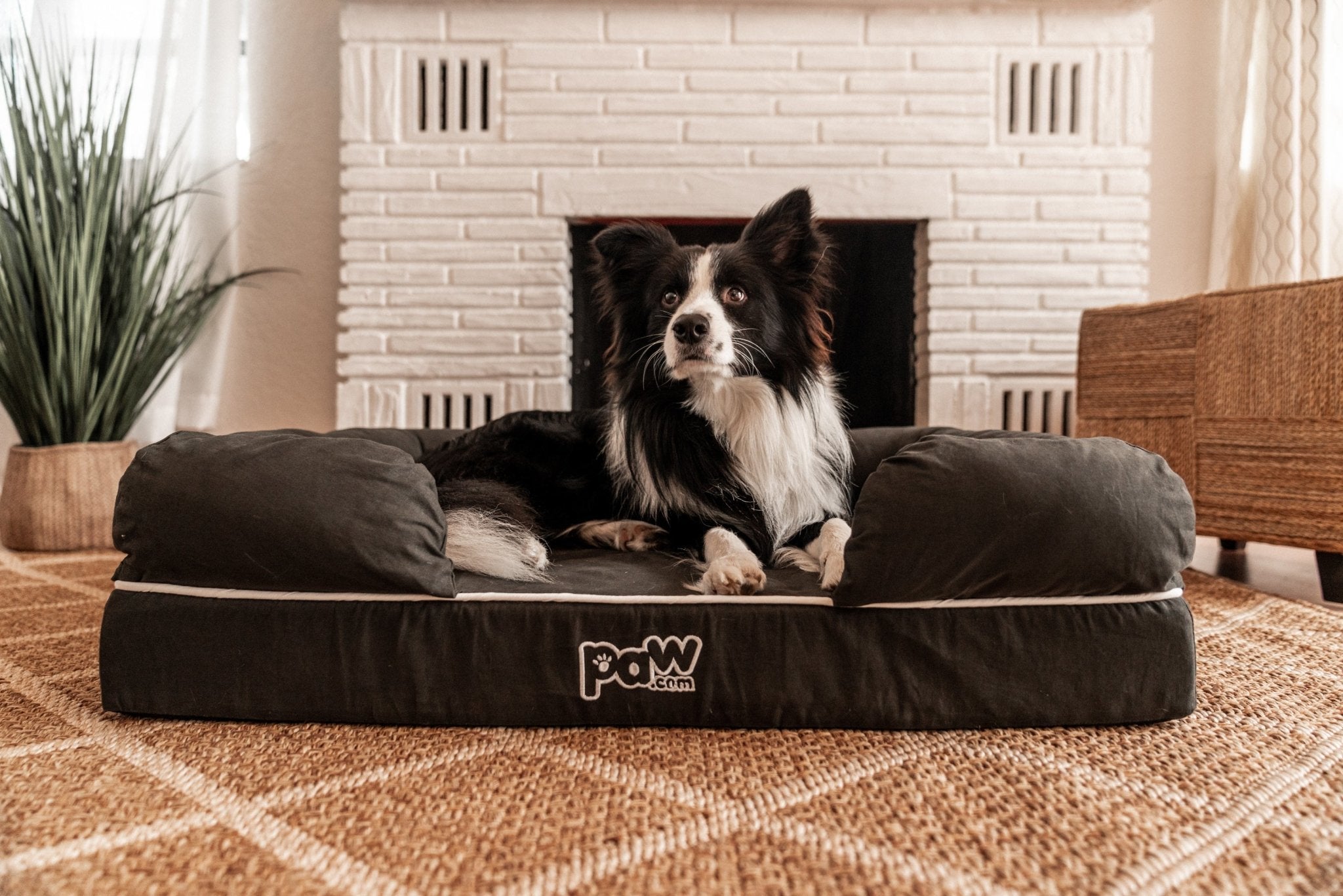 PupLounge™ Memory Foam Dog Bed Replacement Cover – Removable, Washable & Non-Slip