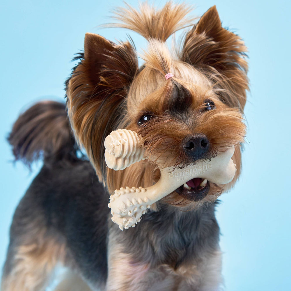 BetterBone SOFT Natural Chew Toy for Puppies, Seniors & Gentle Chewers – Safe, Hypoallergenic & Easy on Teeth