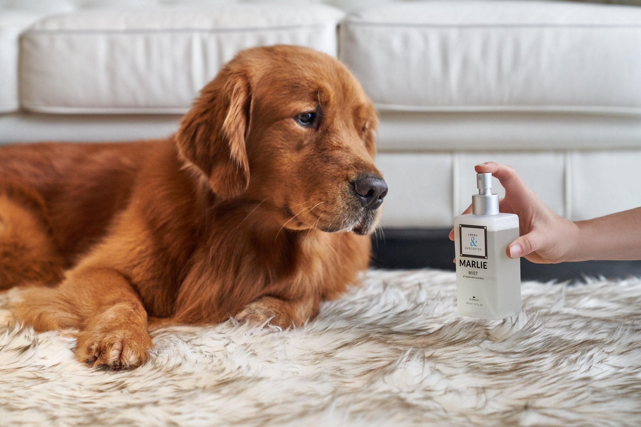 Marlie Mist Pet Odor Eliminator Spray – Natural Essential Oil Deodorizer