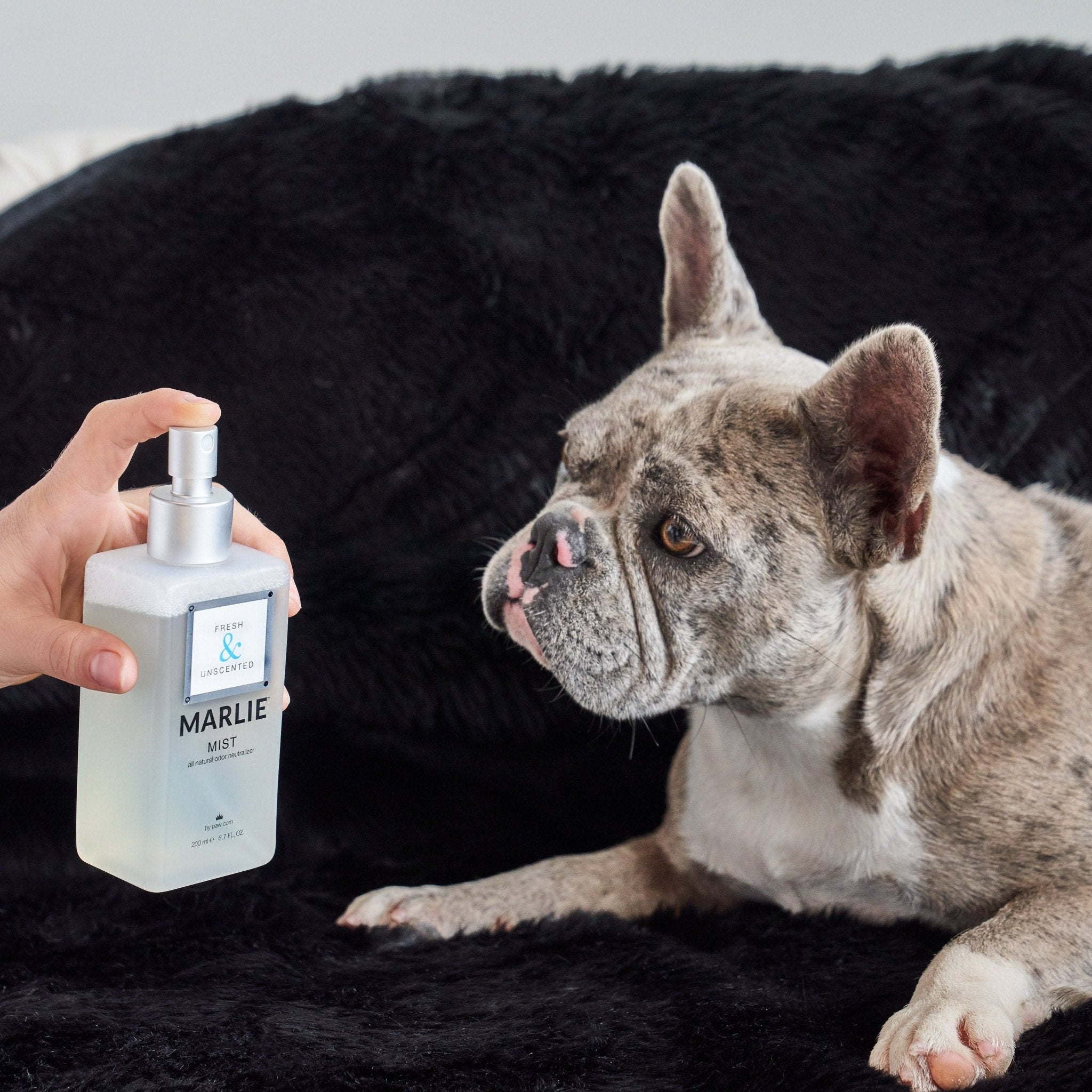 Marlie Mist Pet Odor Eliminator Spray – Natural Essential Oil Deodorizer
