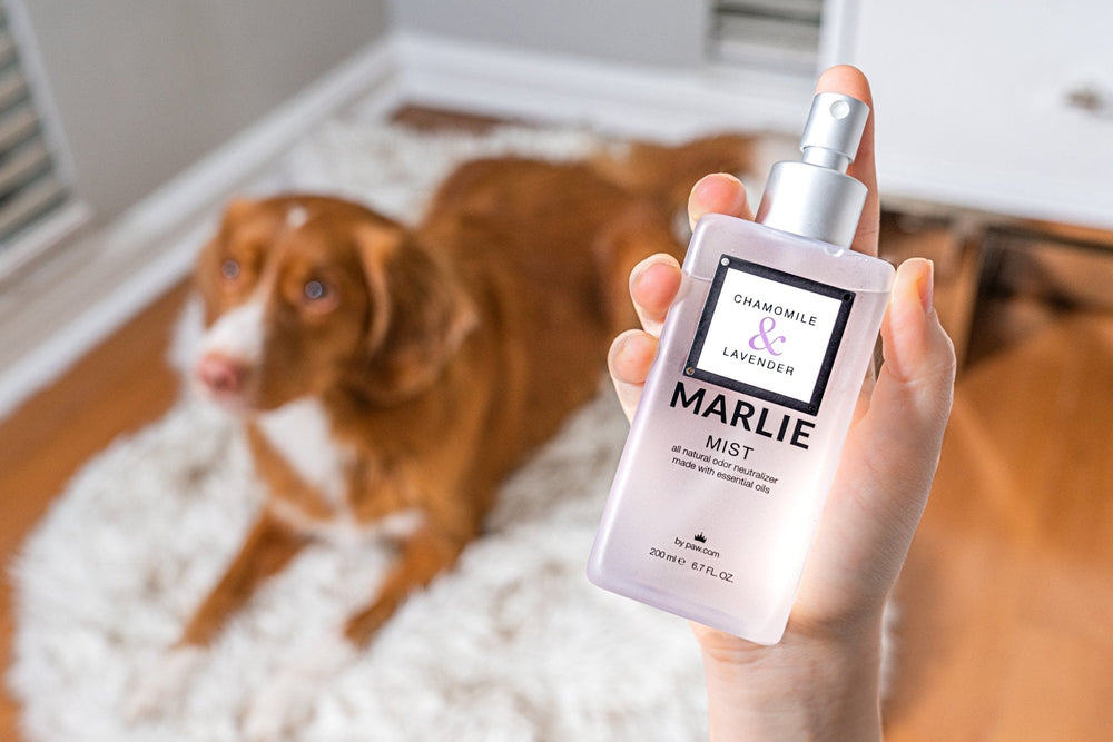 Marlie Mist Pet Odor Eliminator Spray – Natural Essential Oil Deodorizer