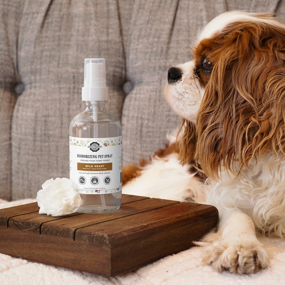 Pure Paws™ Pet Deodorizing Spray – Toxin-Free Odor Control for Dogs & Cats