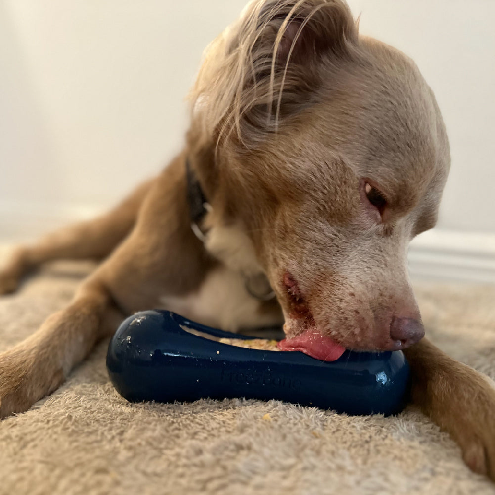 Freezstick – Durable Freezable Enrichment Chew for Strong Chewers