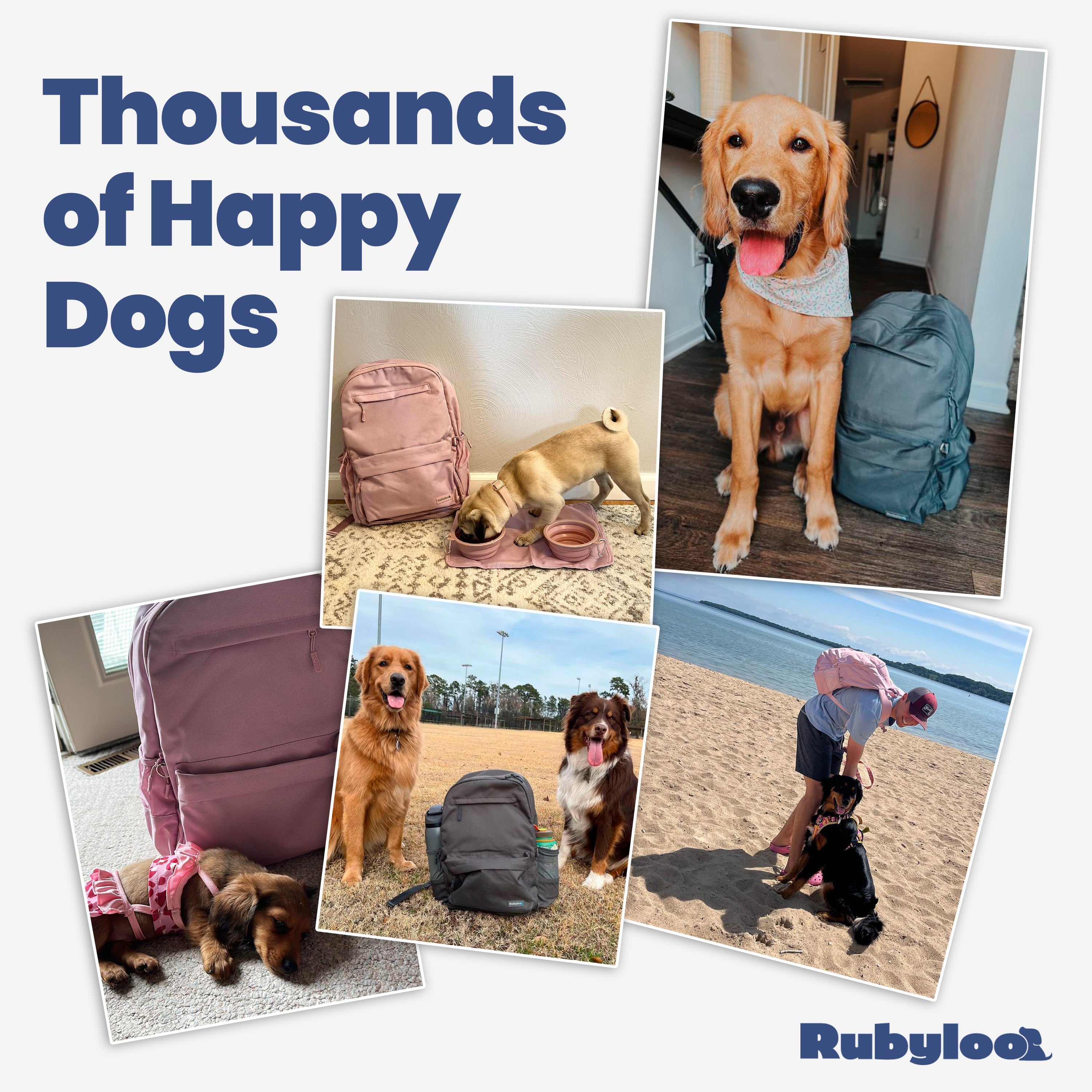 Rubyloo The Original Doggy Bag™ Backpack for Dog Supplies – Airline-Approved Dog Travel Backpack with Food Storage & Collapsible Bowls