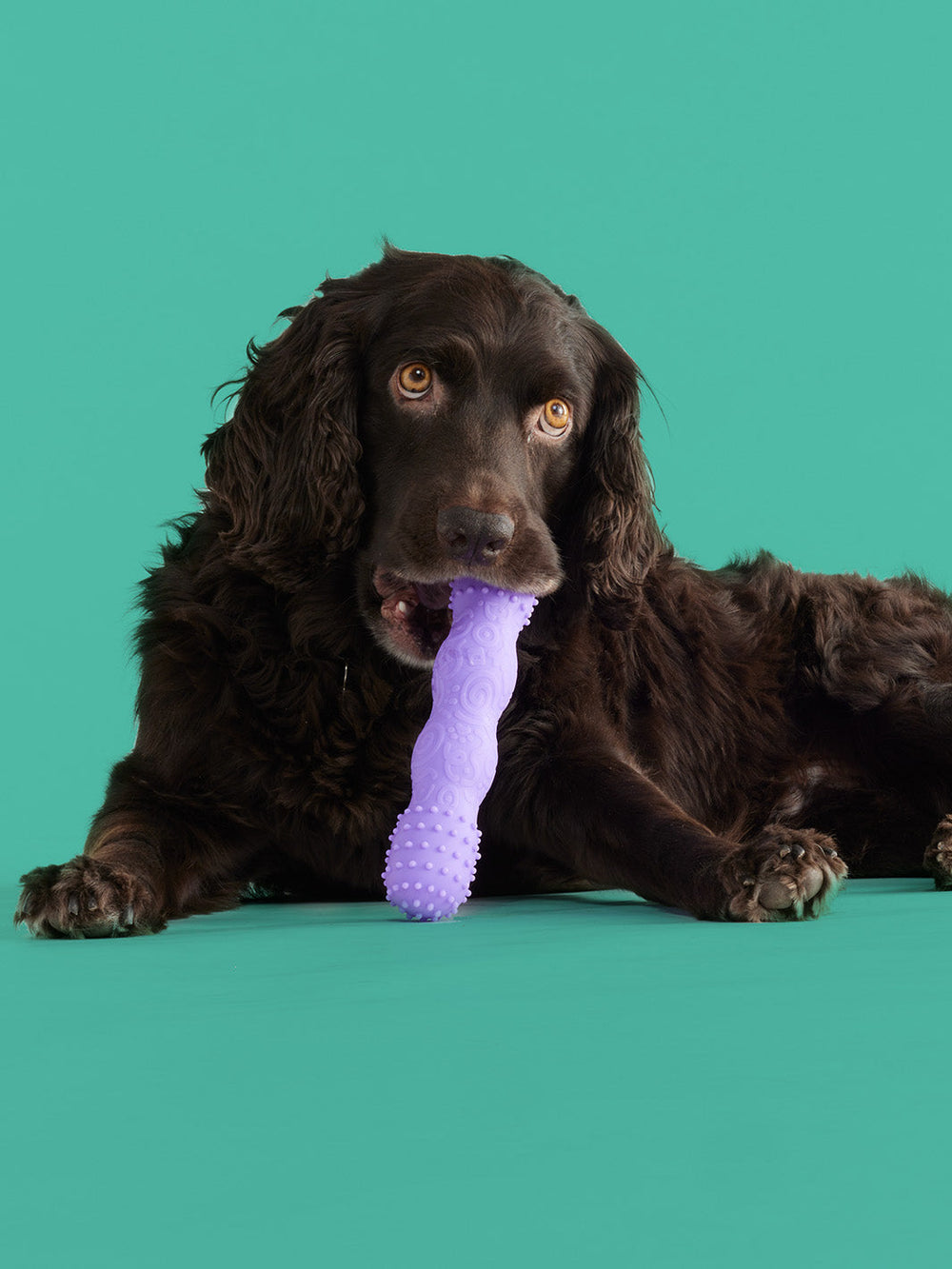Yomp ToothBuddy Silicone Dental Chew Toy for Dogs