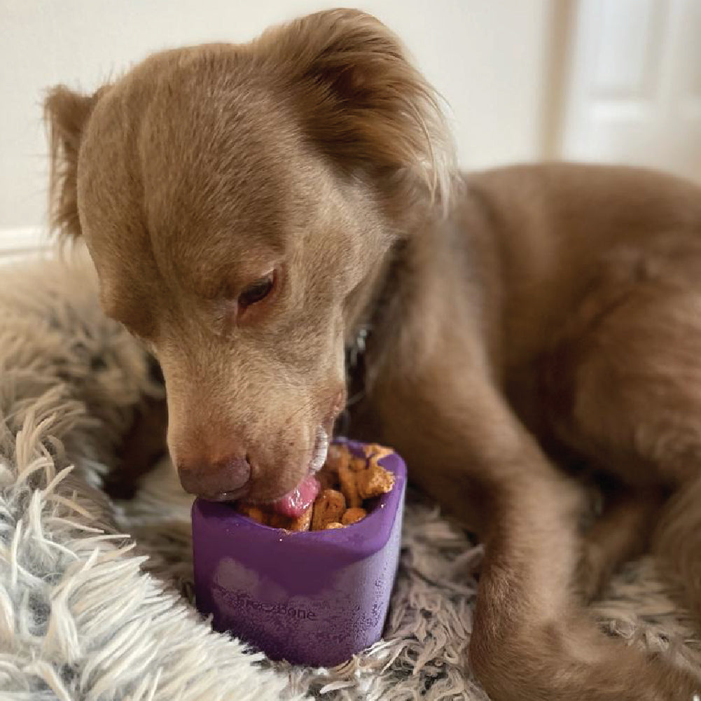 Freezbox Super Tough Treat Toy – Durable Freezable Chew for Power Chewers