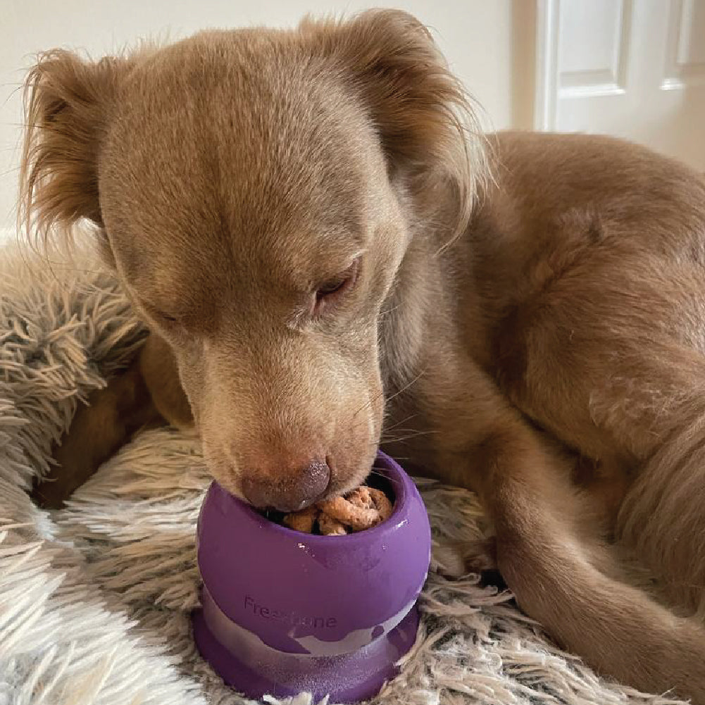 Freezball – Durable Fillable Dog Chew Bone & Freezable Enrichment Toy