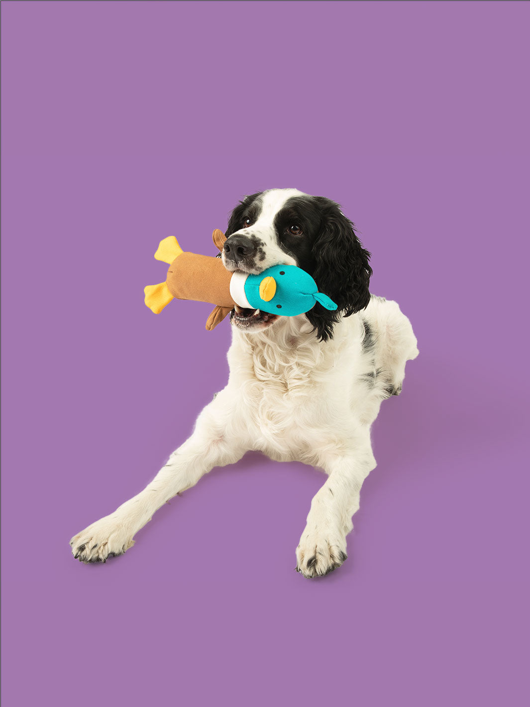 Quackers Plush Duck Dog Toy – Durable Canvas Crinkle Toy
