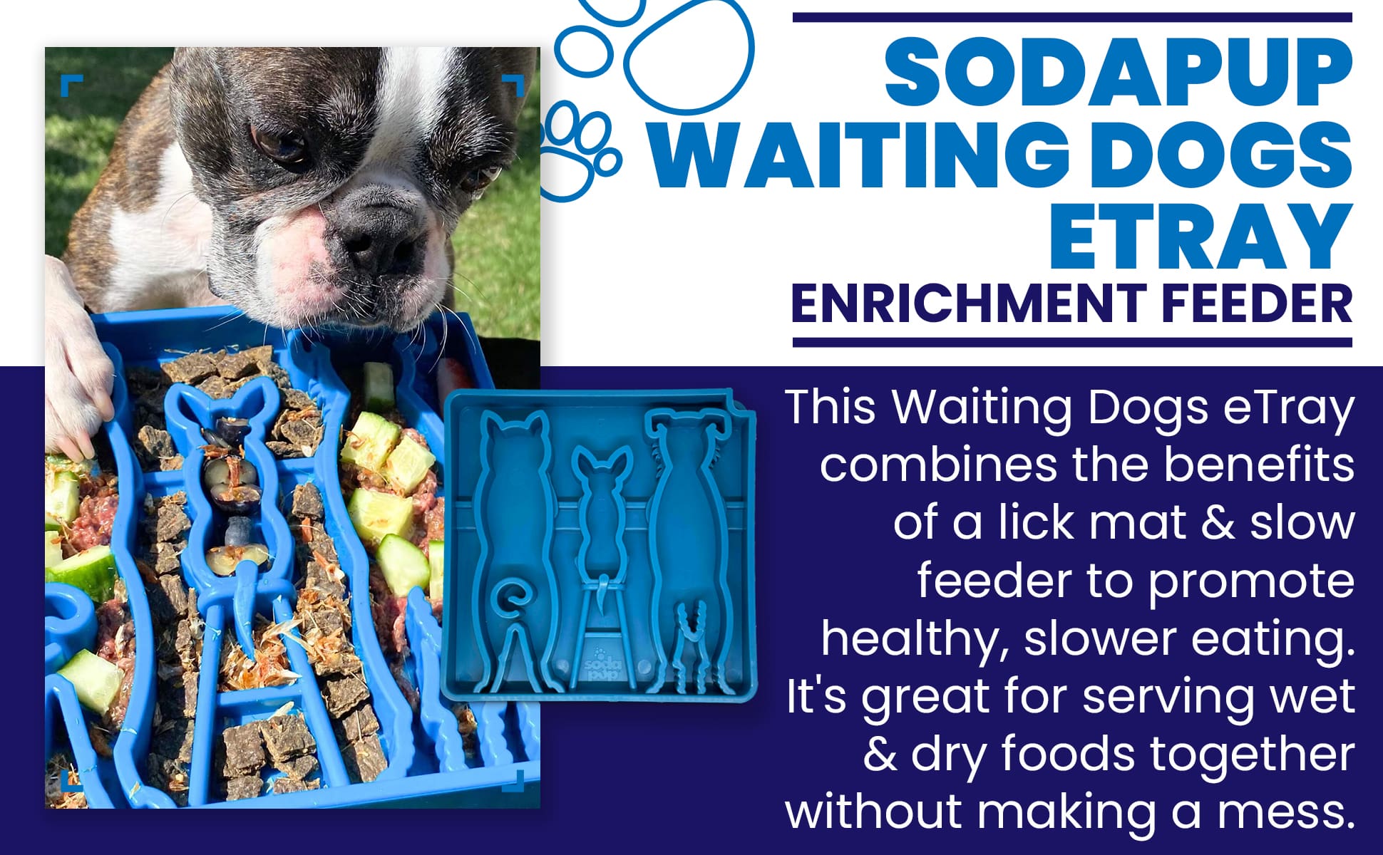 SodaPup Waiting Dogs eTray Slow Feeder – Enrichment Lick Mat & Puzzle Feeding Tray for Dogs