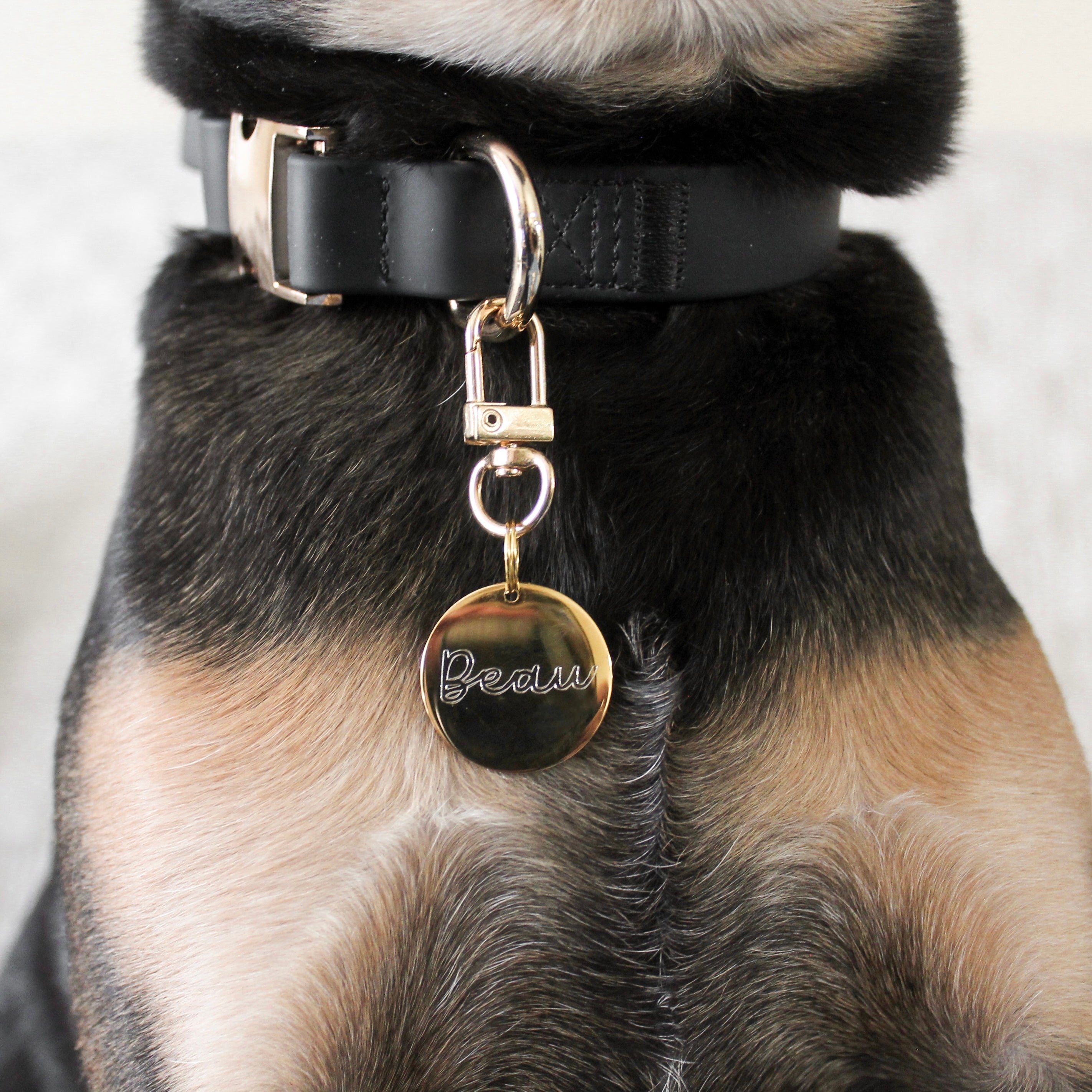 Elise Waterproof Dog Collar –Noir | Durable, Stylish & Lightweight
