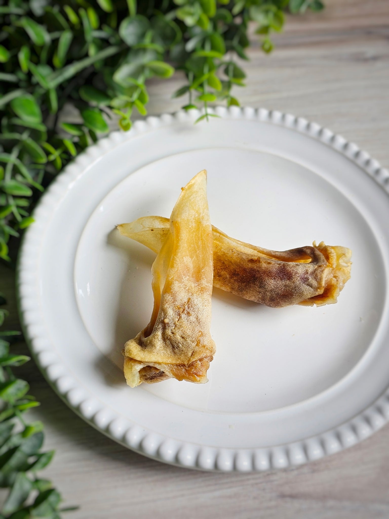 Lamb Ears for Dogs & Cats – Furry or Non-Furry Natural Chews