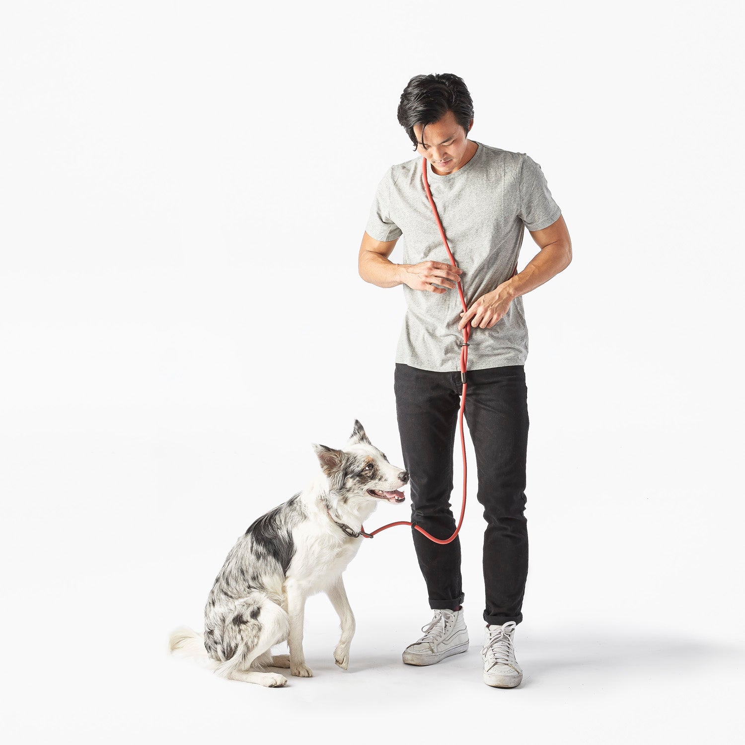 Magic Link® Hands-Free Dog Leash – Wear as Belt, Bandolier, or Wrist Strap