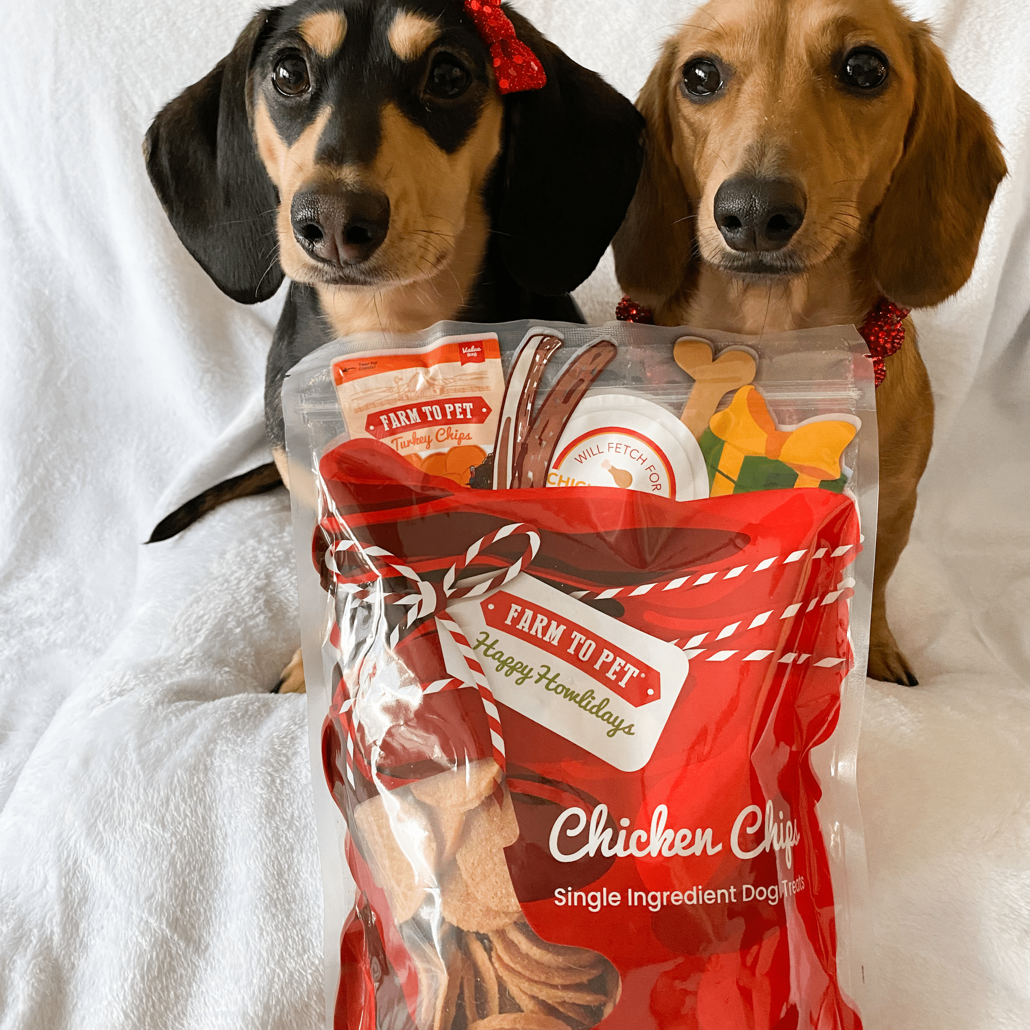 Santa Paws’ Chicken Chips Gift Sack for Dogs and Cats– 12 oz Single-Ingredient Holiday Dog Treats