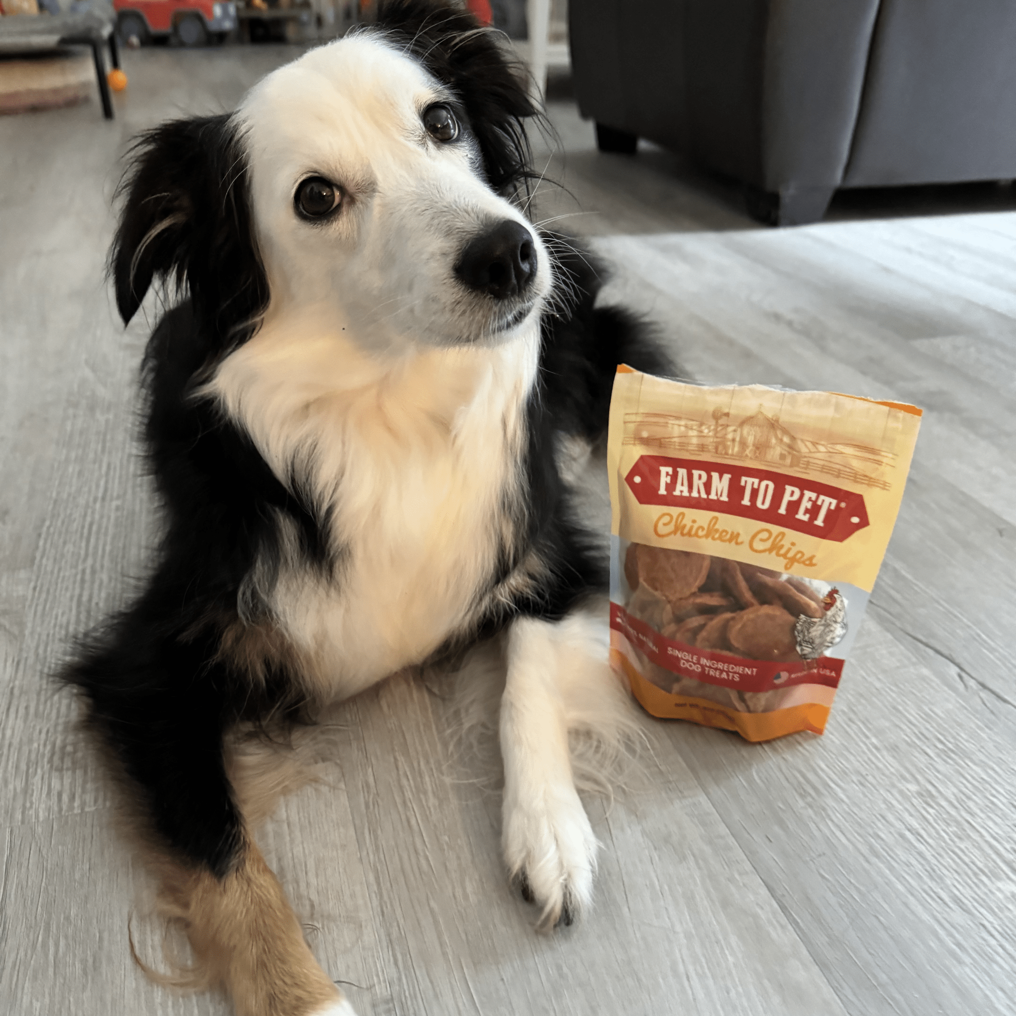 All-Natural Chicken Chips for Dogs – High-Protein Dog Treats