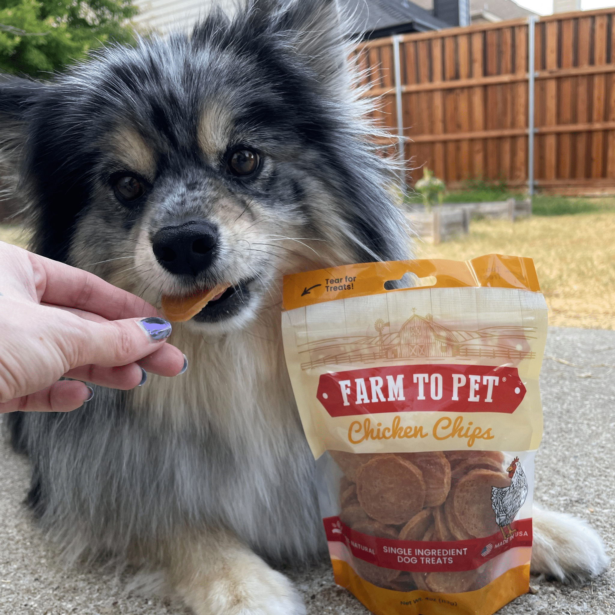 All-Natural Chicken Chips for Dogs – High-Protein Dog Treats